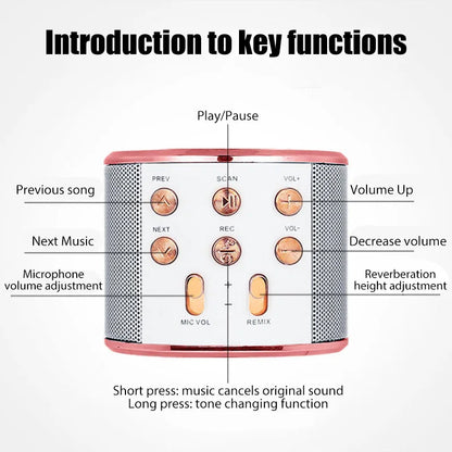 Micrófono Inalámbrico para karaoke Micrófono con Altavoz USB